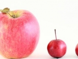 减肥小贴士 秋天吃什么水果减肥比较好